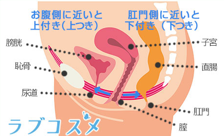 image 301上付き？下付き？膣の位置…見分け方と一番快感を得られるのはどの位置？